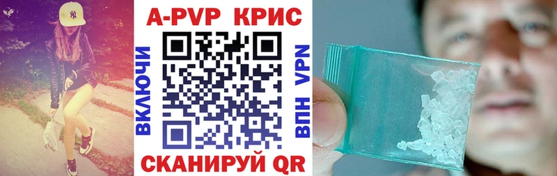 A PVP СК как найти Стародуб