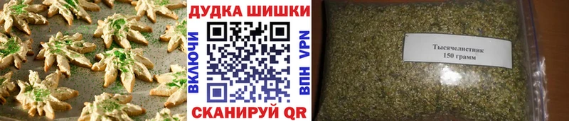 Cannafood конопля  Стародуб 