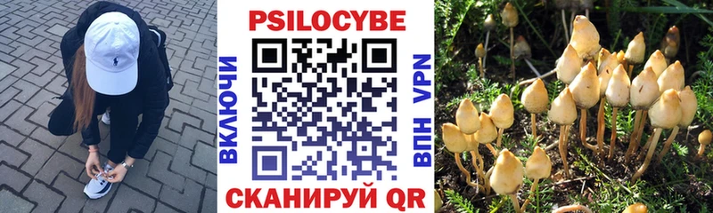 hydra онион  Стародуб  Галлюциногенные грибы мухоморы 